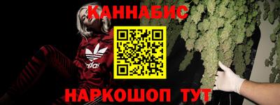 сатива Обнинск