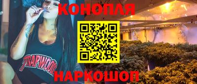 сатива Обнинск