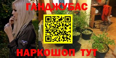 сатива Обнинск