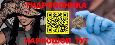 стаф Обь