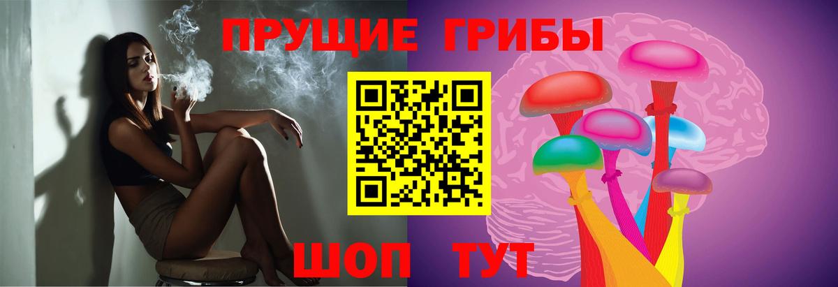 Галлюциногенные грибы GOLDEN TEACHER  Вход с VPN  Новомосковск 